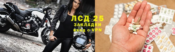 мяу мяу мука Алексеевка