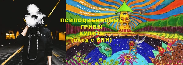 2c-b Алзамай