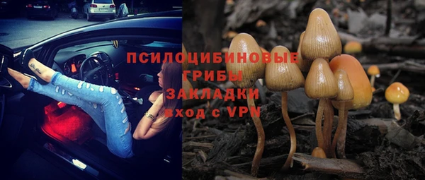 ГАЛЛЮЦИНОГЕННЫЕ ГРИБЫ Алексин