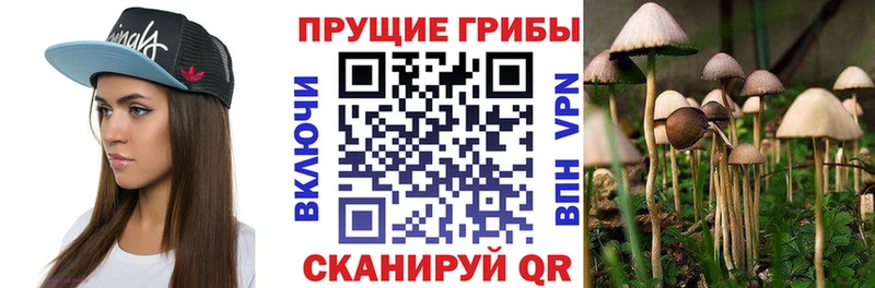 Псилоцибиновые грибы мухоморы цены наркотик Павлово